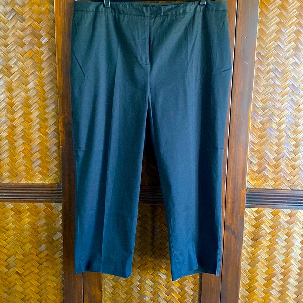 ANNE KLEIN - Black Ankle Pants 20W